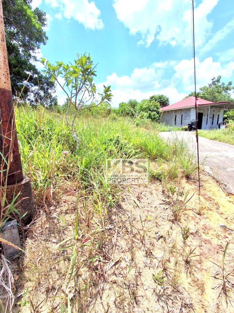 Photo 2025 09 27 11 51 02