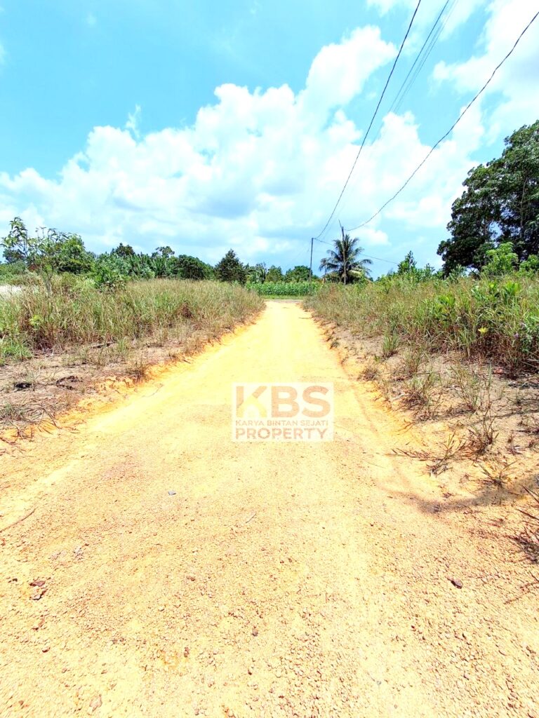 Photo 2025 09 27 11 51 05