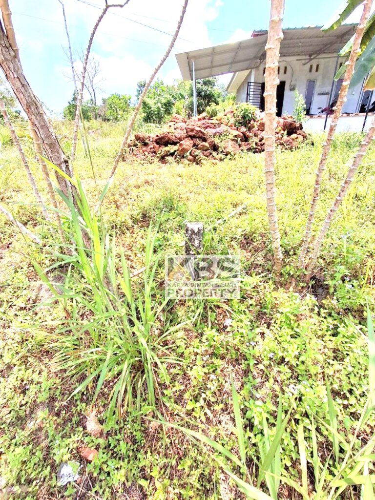 Photo 2025 09 27 11 51 06