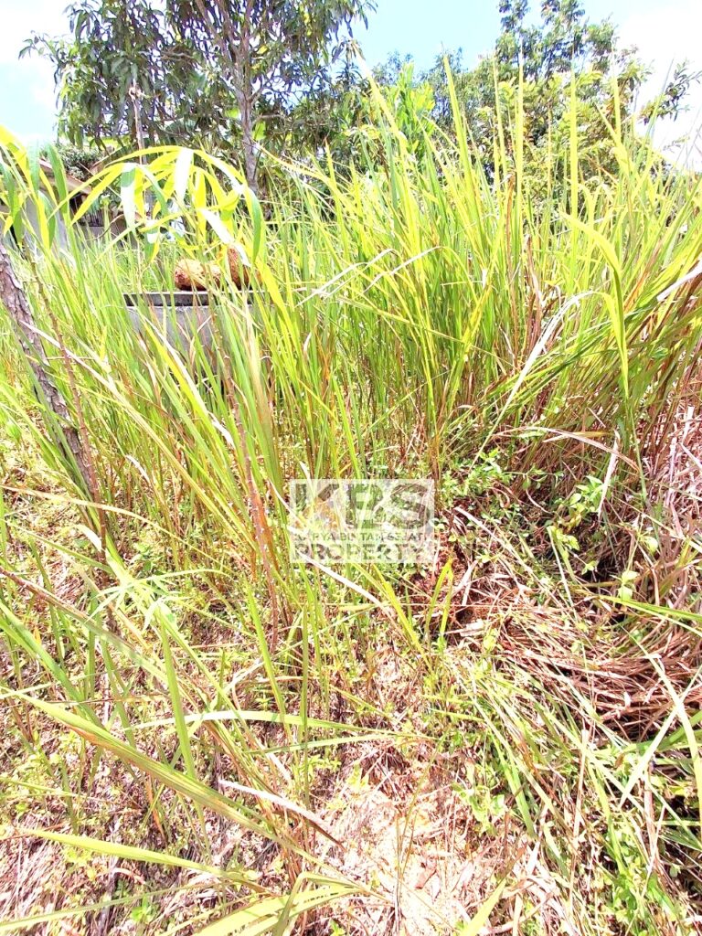 Photo 2025 09 27 11 51 08