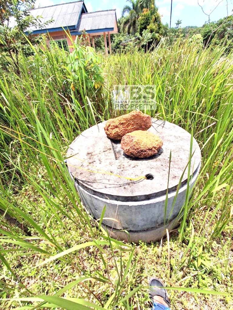 Photo 2025 09 27 11 51 10