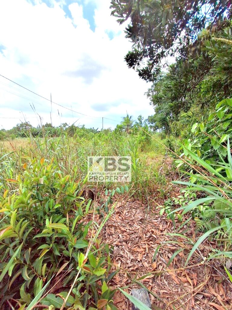 Photo 2025 09 27 12 22 36