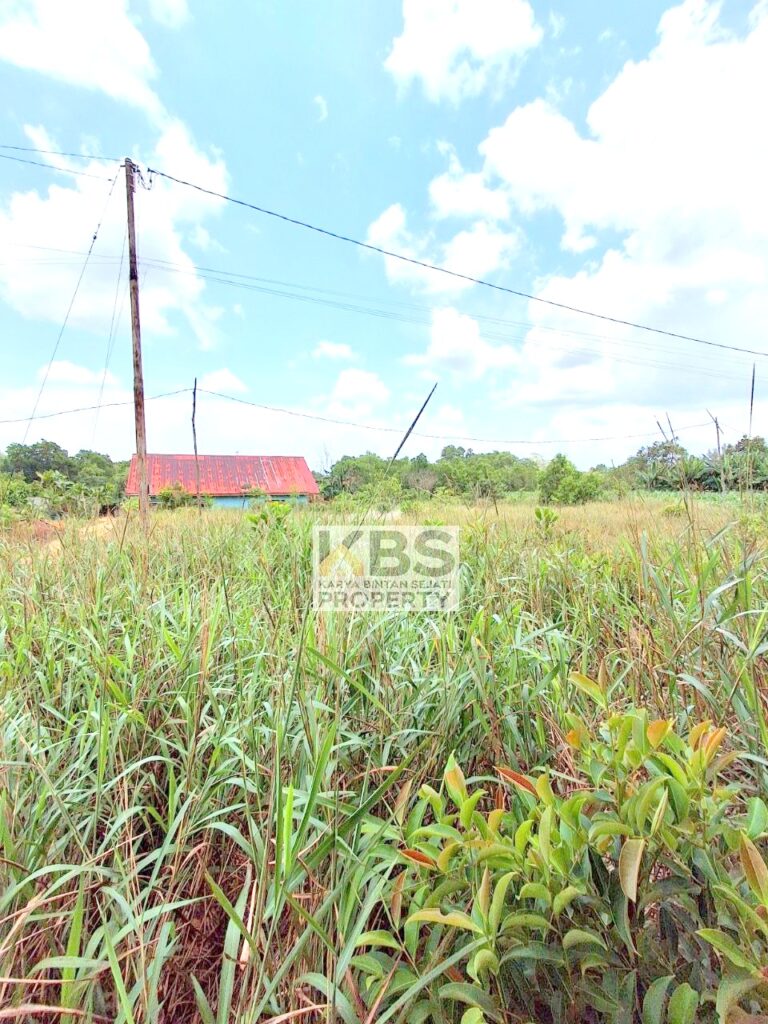 Photo 2025 09 27 12 22 37