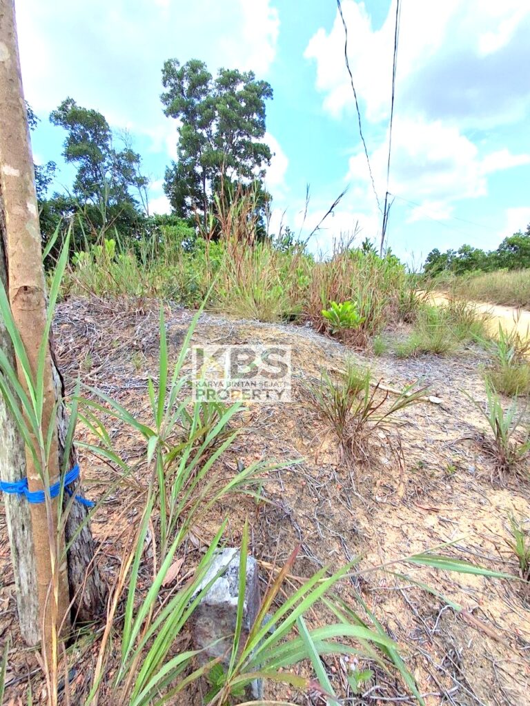 Photo 2025 09 27 12 22 38 2