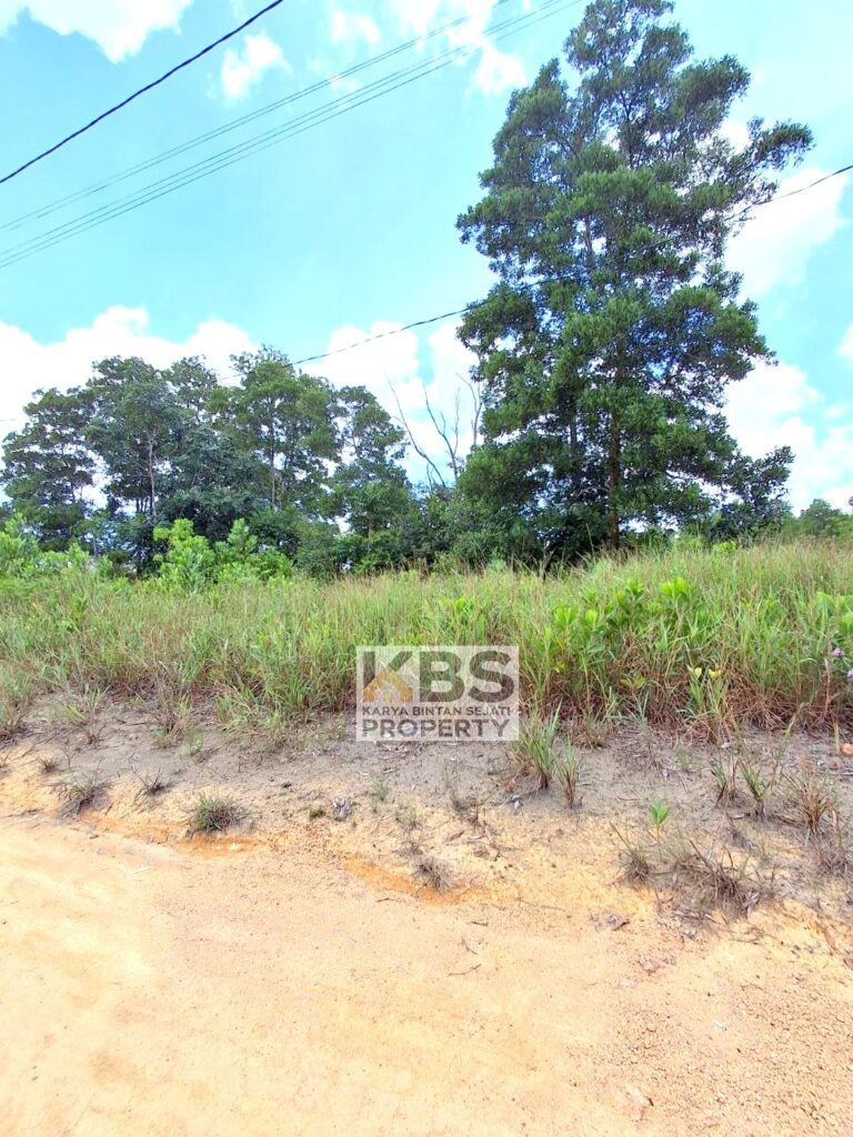 Photo 2025 09 27 12 22 38