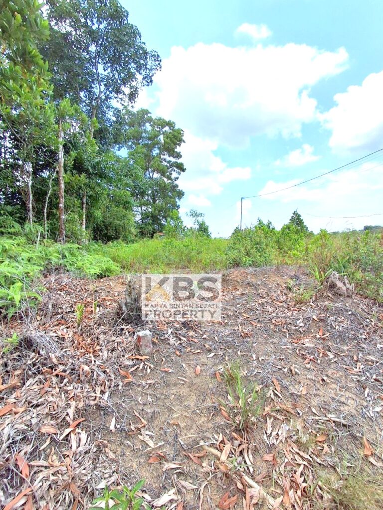 Photo 2025 09 27 12 22 39 3