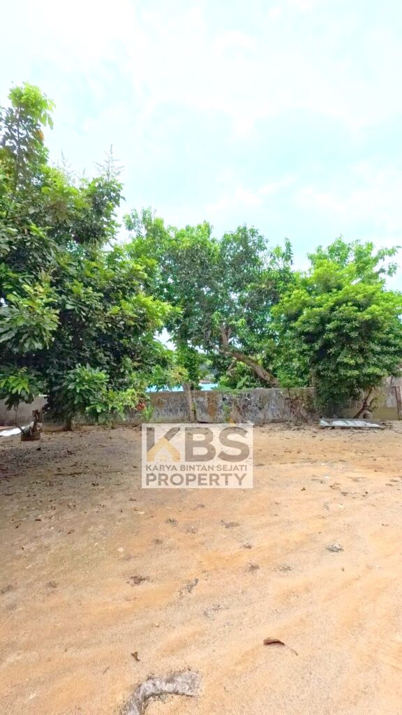 Photo 2025 11 05 12 47 08 2