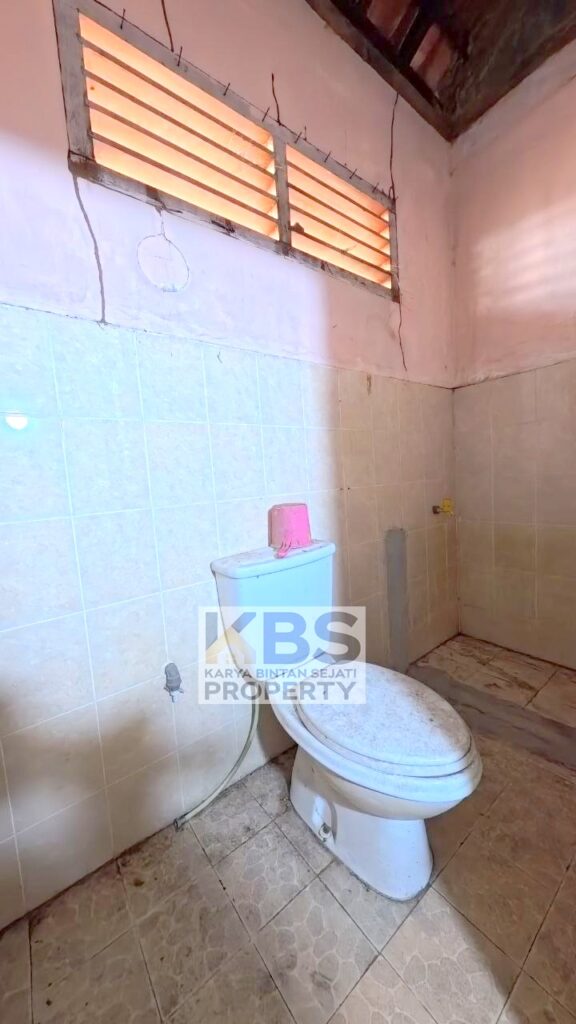 Photo 2025 11 11 16 18 47 5