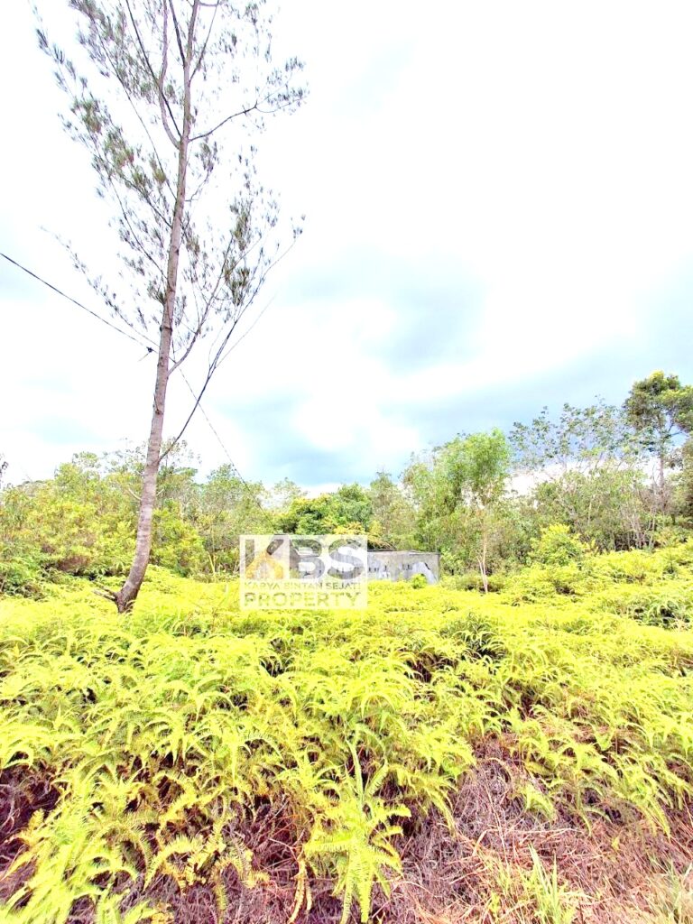 Photo 2025 10 06 13 25 27 2