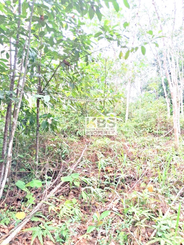 Photo 2025 10 06 13 25 29 2