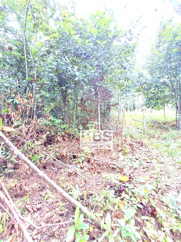 Photo 2025 10 06 13 25 29