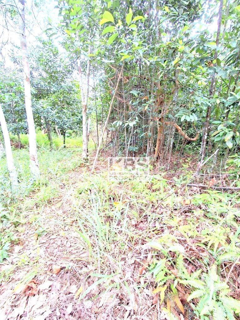 Photo 2025 10 06 13 25 30