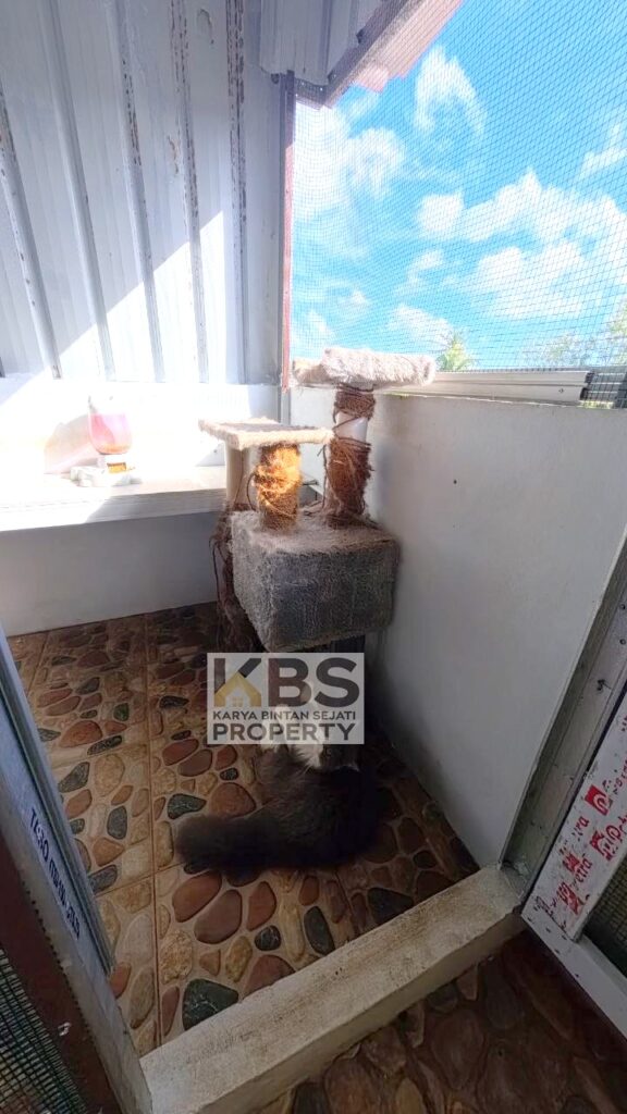 Photo 2025 12 30 12 29 09