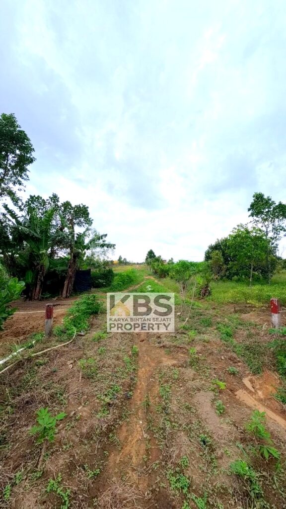 Photo 2026 01 07 16 27 18 2