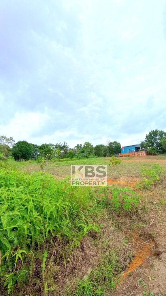 Photo 2026 01 07 16 27 19 2