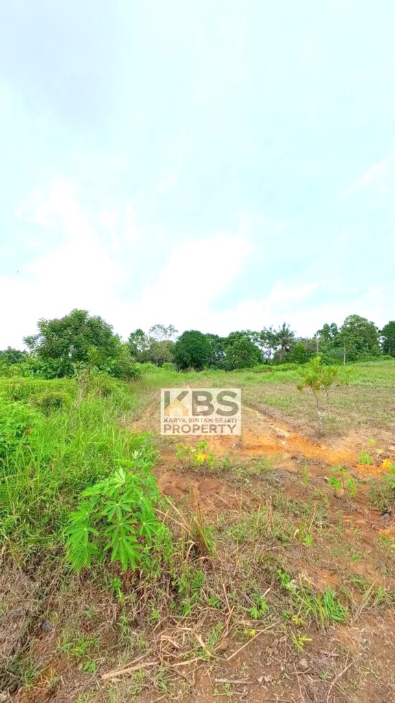 Photo 2026 01 07 16 27 19 4