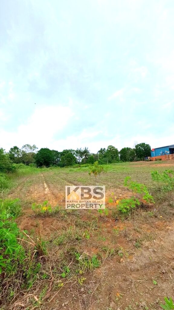 Photo 2026 01 07 16 27 19 5