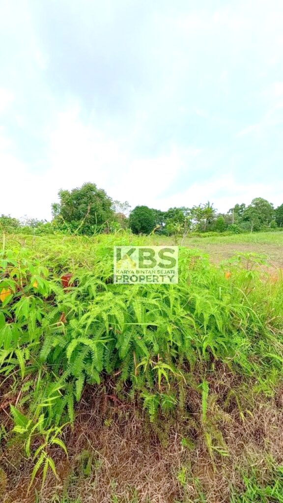 Photo 2026 01 07 16 27 19