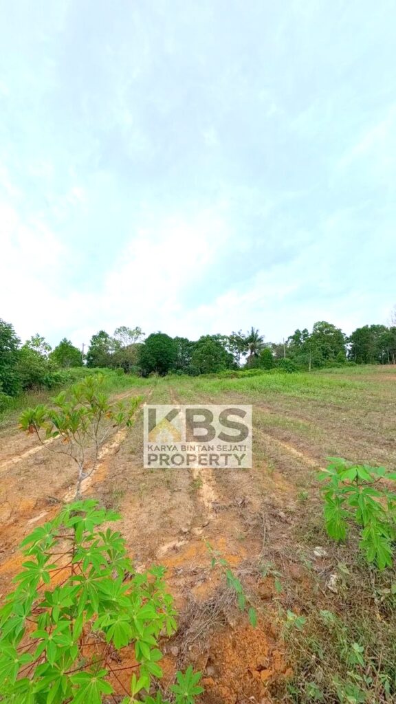 Photo 2026 01 07 16 27 19 6