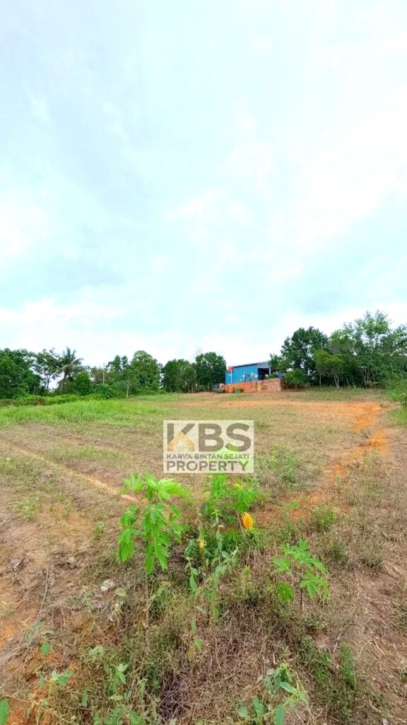 Photo 2026 01 07 16 27 19 7