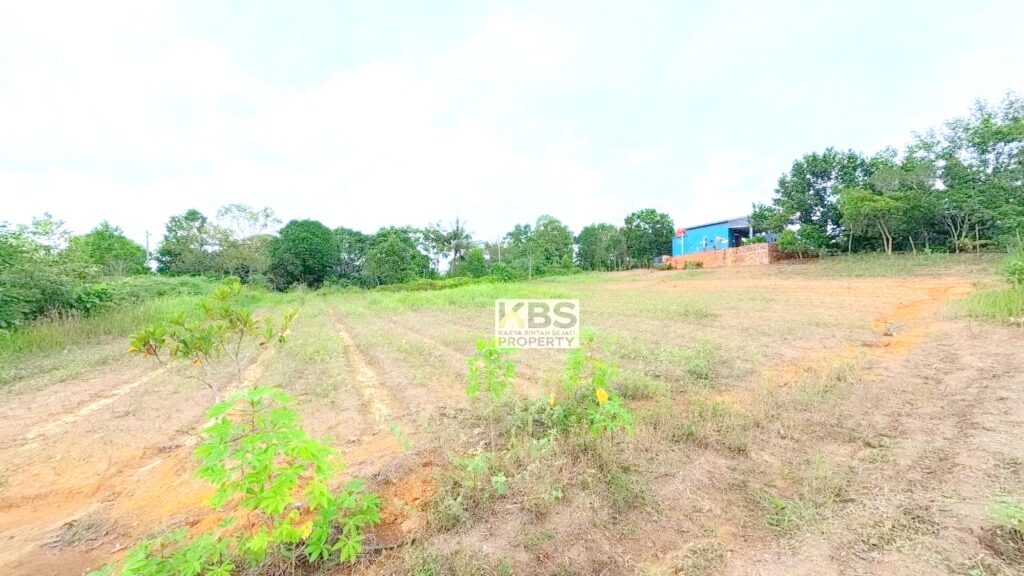 Photo 2026 01 07 16 27 20 2