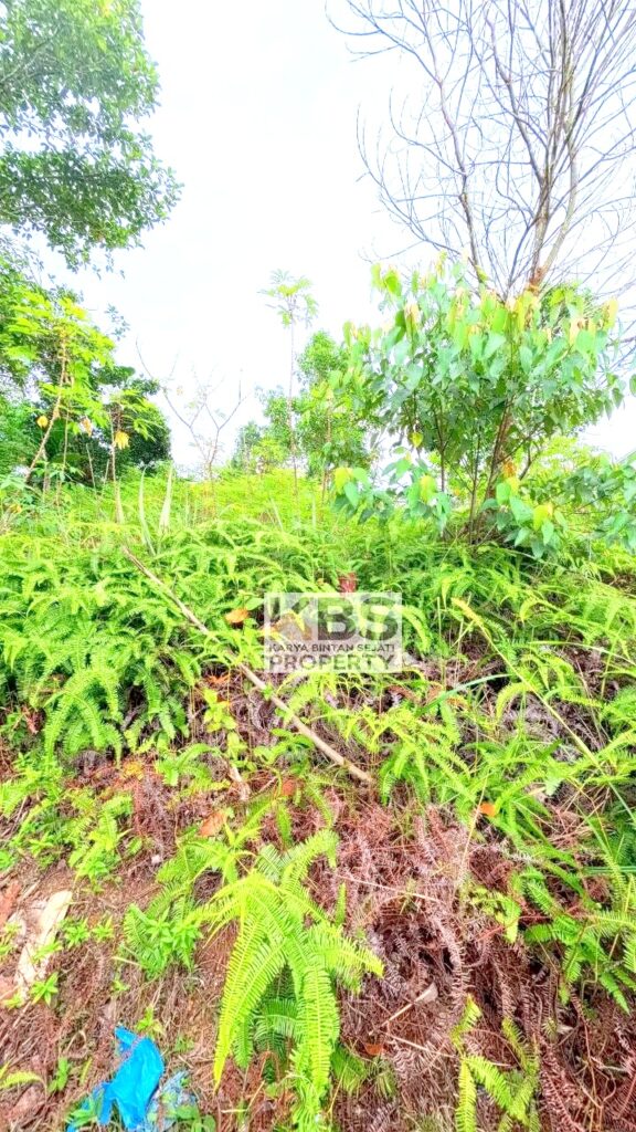 Photo 2026 01 07 16 27 20 3