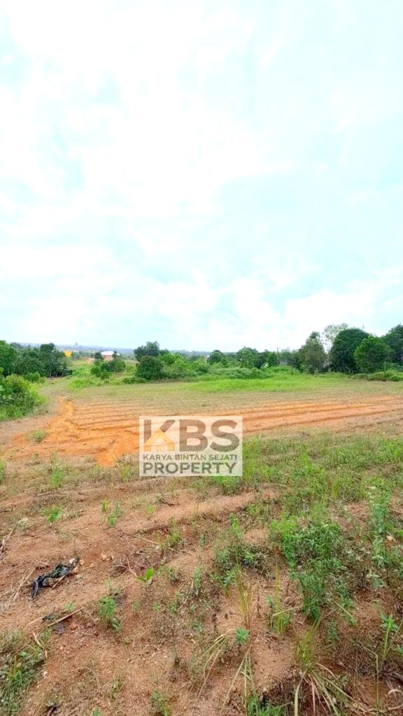 Photo 2026 01 07 16 27 20 4