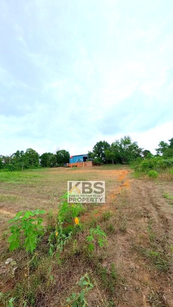 Photo 2026 01 07 16 27 20