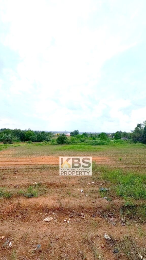 Photo 2026 01 07 16 27 20 6