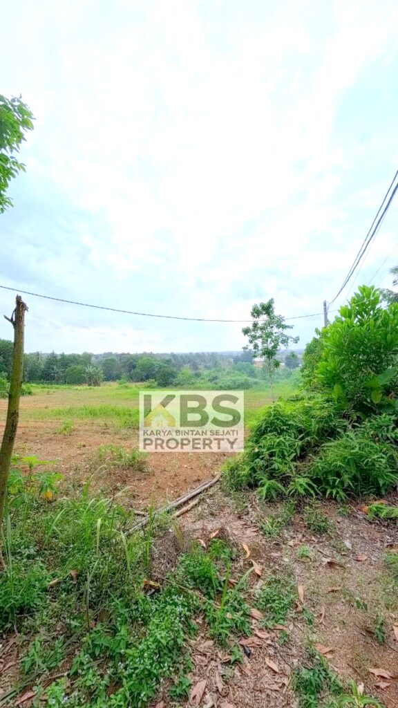 Photo 2026 01 07 16 27 21 2