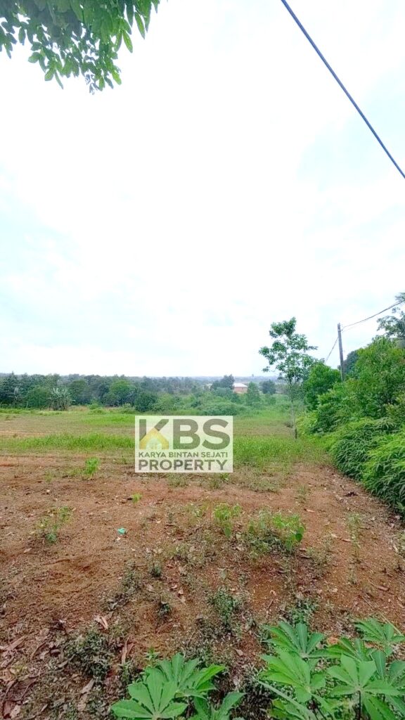 Photo 2026 01 07 16 27 21 3