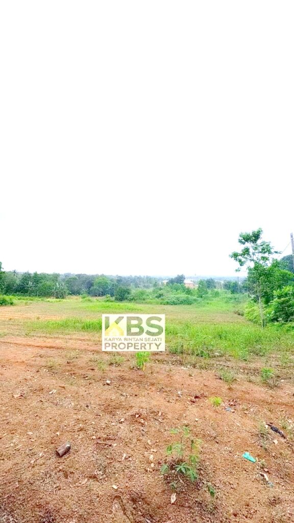 Photo 2026 01 07 16 27 21 4