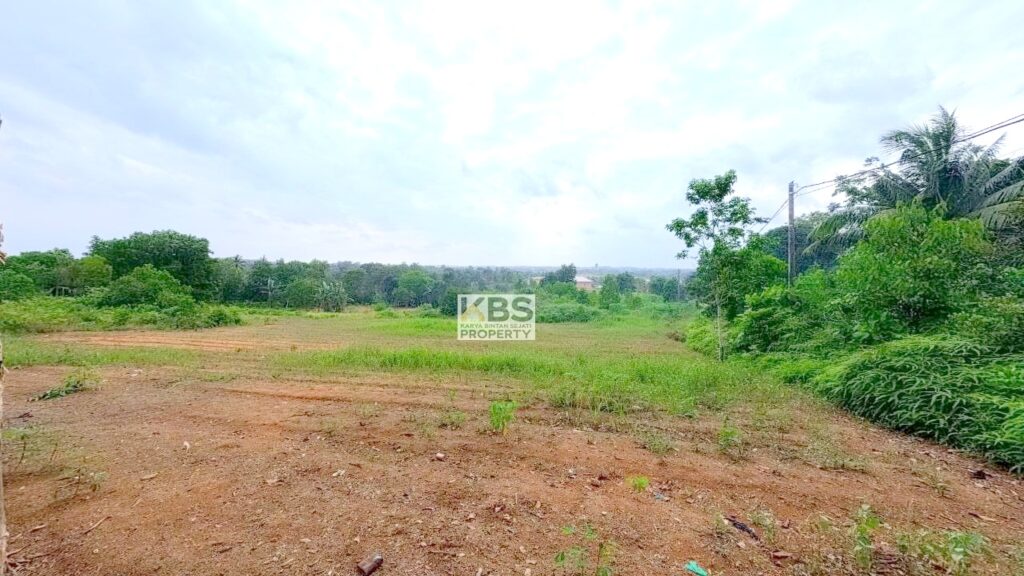 Photo 2026 01 07 16 27 21 5