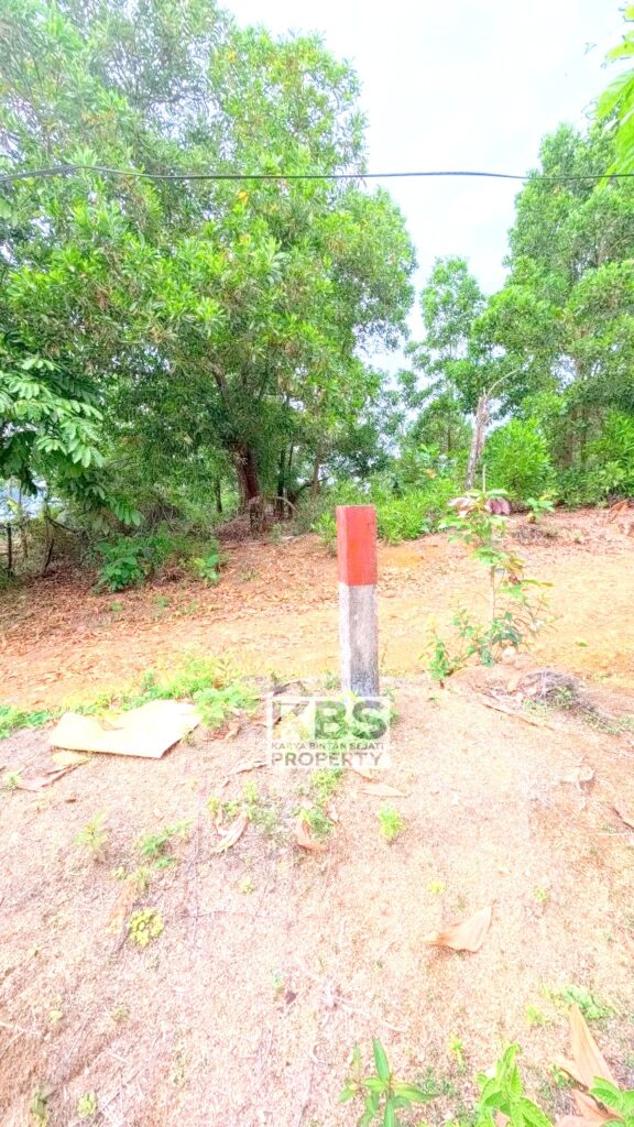 Photo 2026 01 07 16 27 21