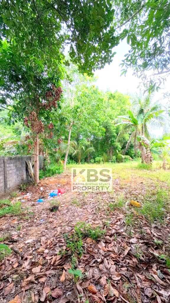 Photo 2026 01 07 16 37 35 2