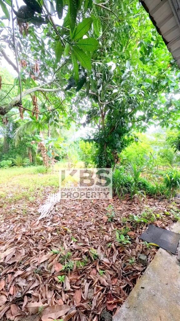 Photo 2026 01 07 16 37 35 4