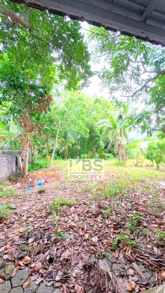 Photo 2026 01 07 16 37 37