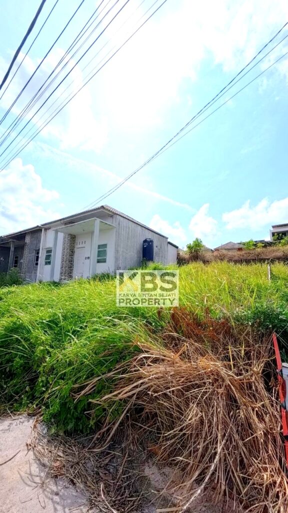 Photo 2026 01 13 15 29 29 2