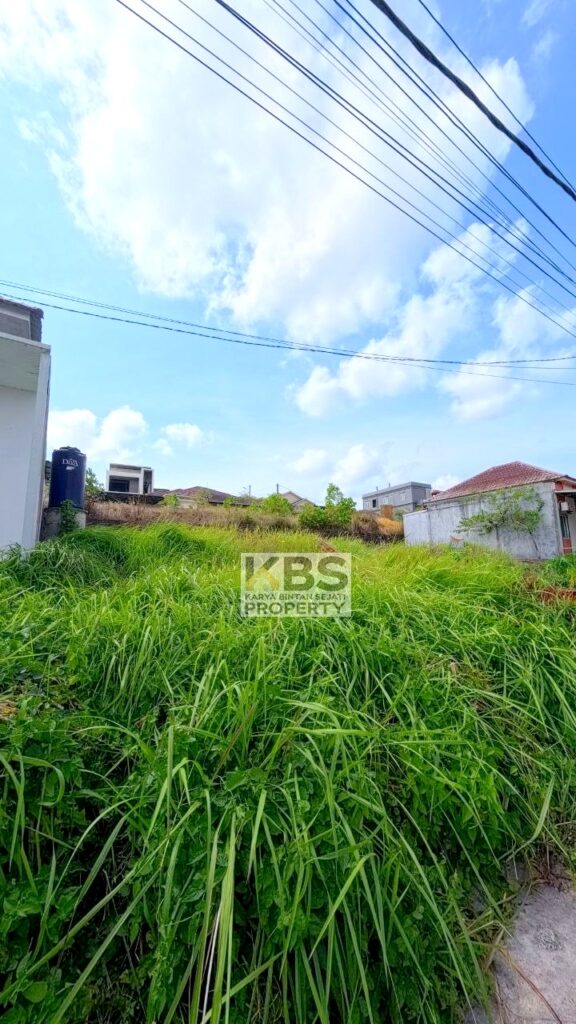 Photo 2026 01 13 15 29 29 3