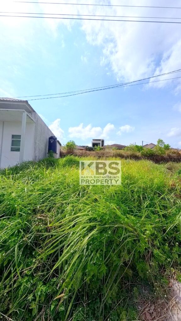 Photo 2026 01 13 15 29 29