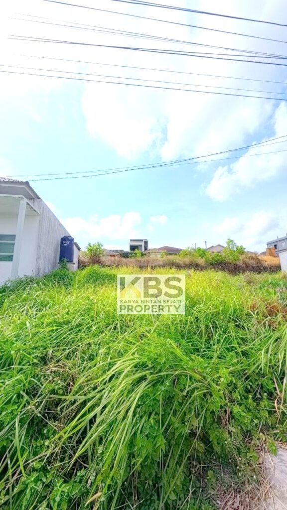 Photo 2026 01 13 15 29 30 3