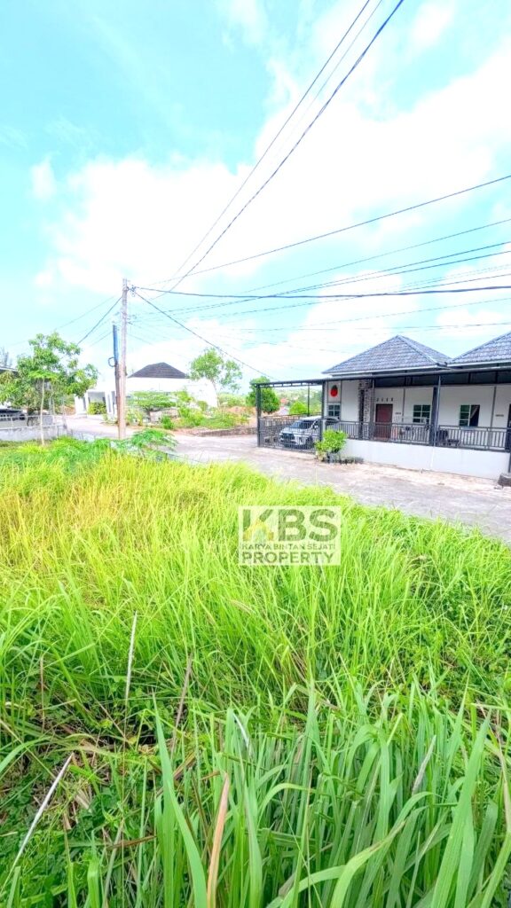 Photo 2026 01 13 15 29 30 5