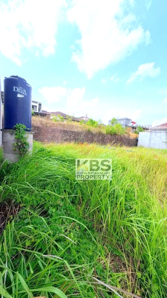 Photo 2026 01 13 15 29 30