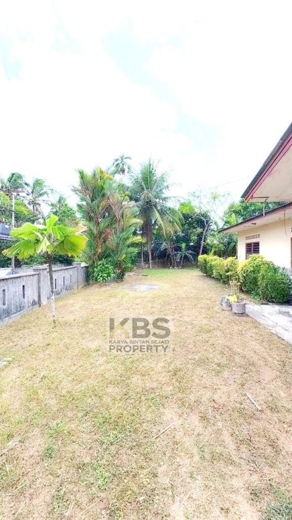 Photo 2026 01 28 17 50 00 3