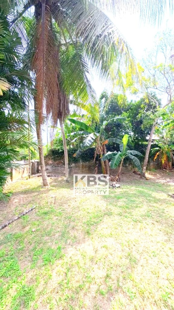 Photo 2026 01 28 17 50 01 2