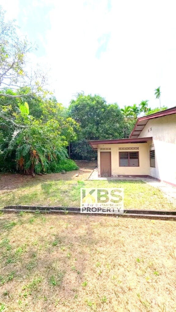 Photo 2026 01 28 17 50 01 3