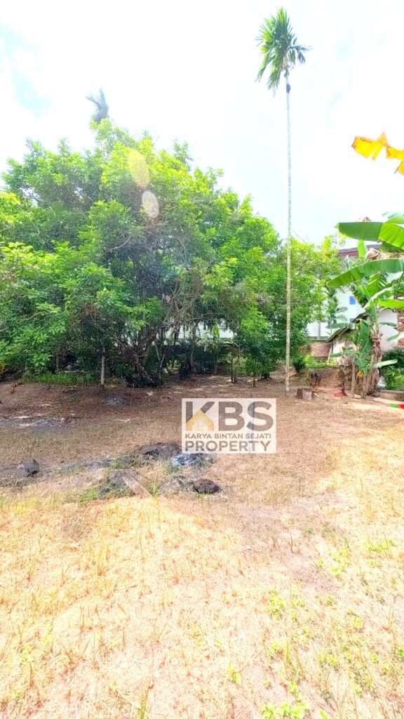 Photo 2026 01 28 17 50 02 3