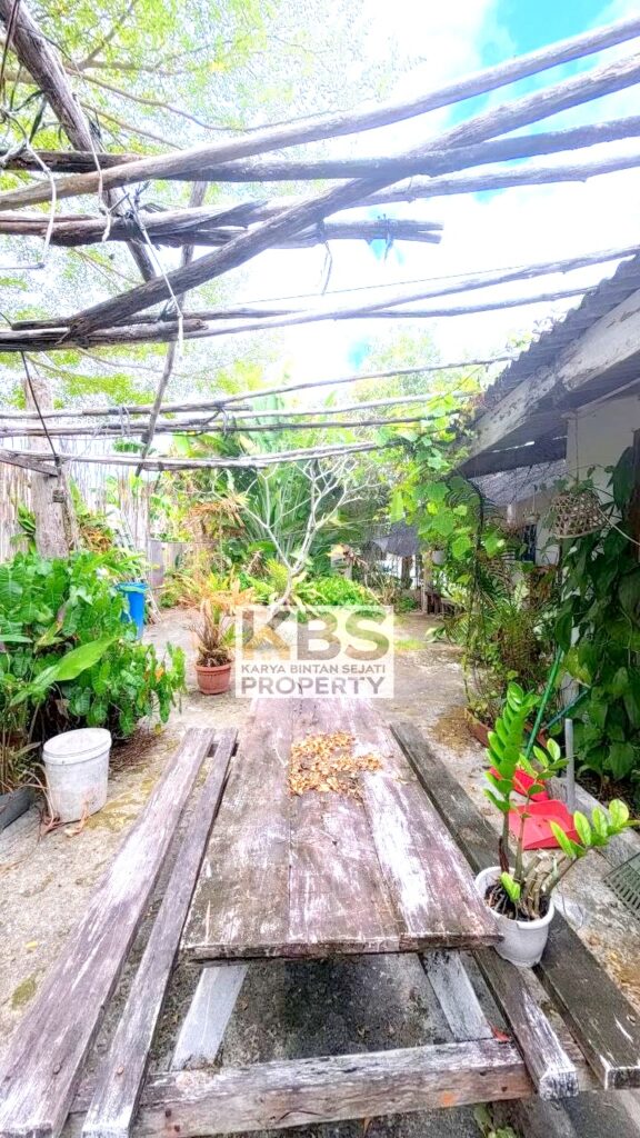 Photo 2026 02 10 20 24 18