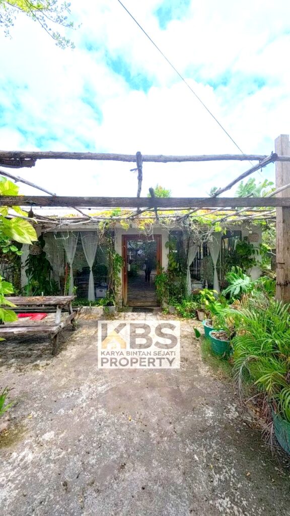 Photo 2026 02 10 20 24 20 2