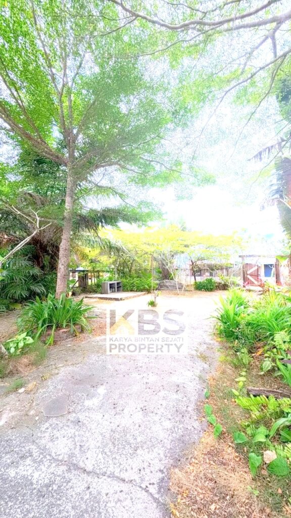 Photo 2026 02 10 20 24 21 2